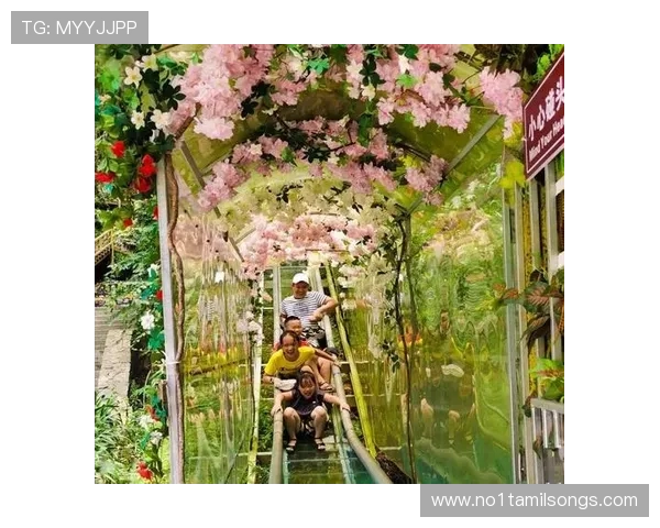 万人娱乐平台全面升级，丰富多彩的娱乐内容等你来探索